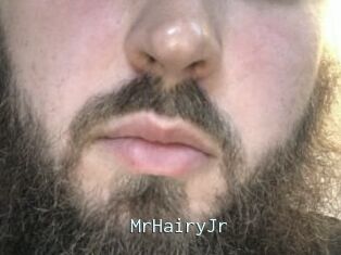 MrHairyJr