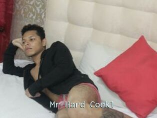 Mr_Hard_Cock1