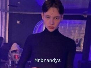 Mrbrandys