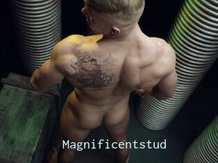 Magnificentstud