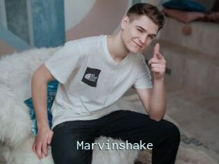 Marvinshake