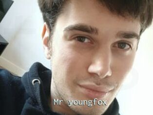 Mr_youngfox