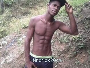 Mrdick20cm