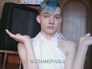 NATHAN_SPARKS