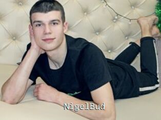 NigelBud