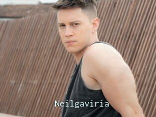 Neilgaviria