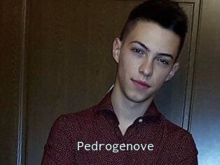 Pedrogenove