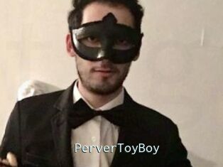 PerverToyBoy