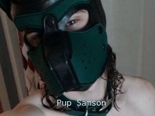 Pup_Samson