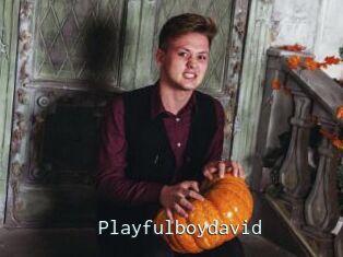 Playfulboydavid