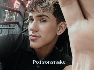 Poisonsnake