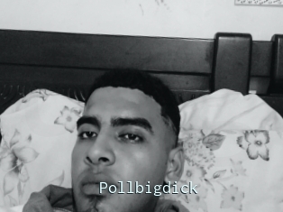 Pollbigdick