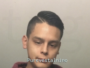 Purevestalnino