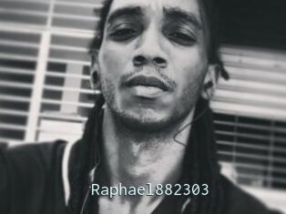 Raphael882303