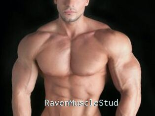 RavenMuscleStud