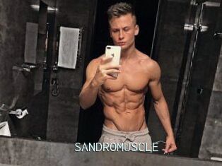 SANDRO_MUSCLE