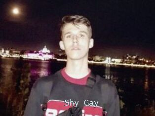 Shy_Gay