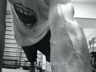 StevieVeins