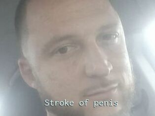 Stroke_of_penis