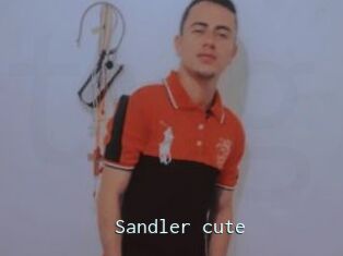 Sandler_cute