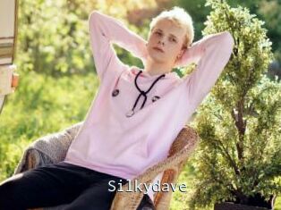 Silkydave