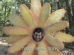 TEDDY_BEAR_SEXY