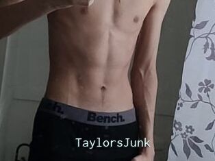 TaylorsJunk