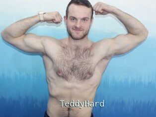 TeddyHard