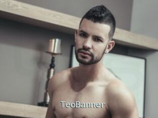 TeoBanner