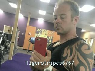 Tigerstripes6767