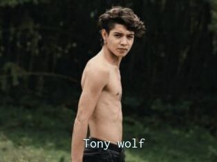 Tony_wolf