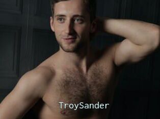 TroySander