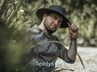 Teddysteel