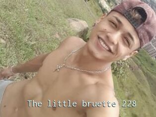 The_little_bruette_228