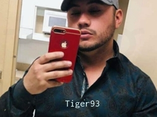 Tiger93