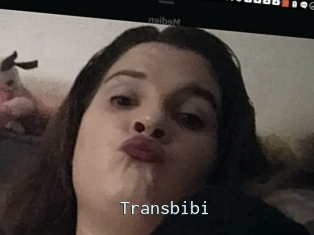 Transbibi