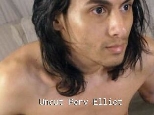 Uncut_Perv_Elliot