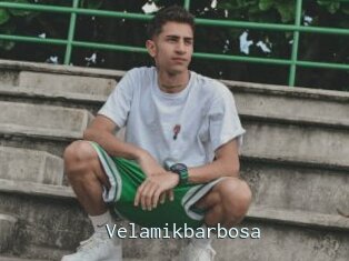 Velamikbarbosa