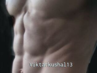 Viktarkushal13