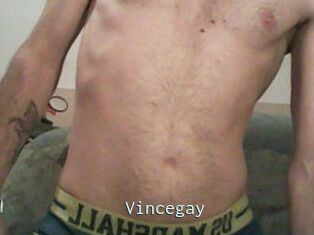 Vincegay