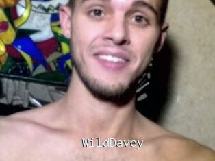 WildDavey