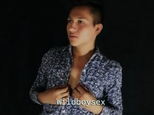 Wildboysex